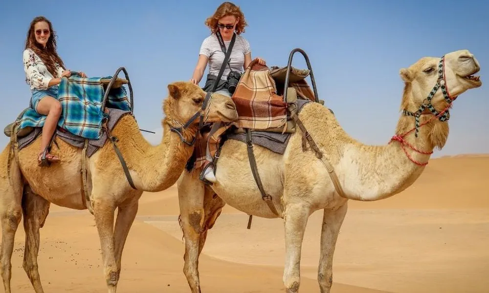 camel riding guide